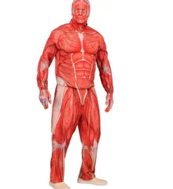 Anatomiczny strój dla dorosłych obrany ze skóry mięsnie