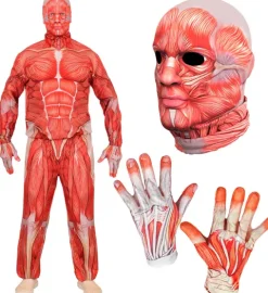 Anatomiczny strój dla dorosłych obrany ze skóry mięsnie