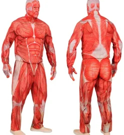 Anatomiczny strój dla dorosłych obrany ze skóry mięsnie