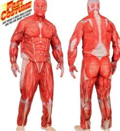 Anatomiczny strój dla dorosłych obrany ze skóry mięsnie
