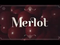 Balon 24 cale Sempertex Solid 1 szt. Merlot