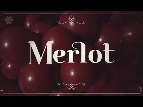 Balon 24 cale Sempertex Solid 1 szt. Merlot
