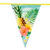 Baner dekoracyjny kwiaty hawajskie, Hawaje 6 m