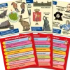BrainBox - Polska. Gra edukacyjna