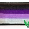 Farba do malowania twarzy i ciała SplitCake Cameleon Batgirl