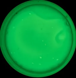 Farba do tkanin FOSFOROWA luminescencyjna PROFIL