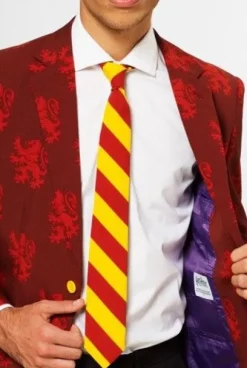 Garnitur męski licencjonowany HARRY POTTER zestaw