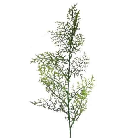Gałązki sztuczne liść Asparagus / plumosus mix