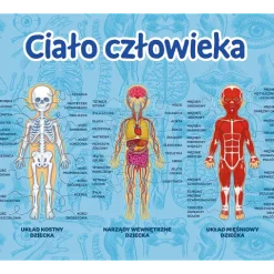 Gra edukacyjna dla dzieci CIAŁO CZŁOWIEKA Trefl