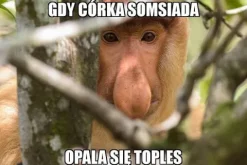 Maska 