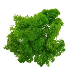 Mech kreatywny dekoracyjny chrobotek opakowanie 20g