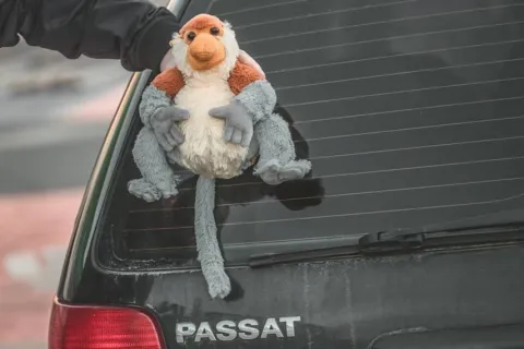 Pluszowy Nosacz Janusz