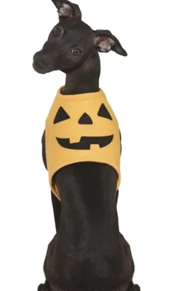 Przebranie dla psa - DYNIA - Halloween