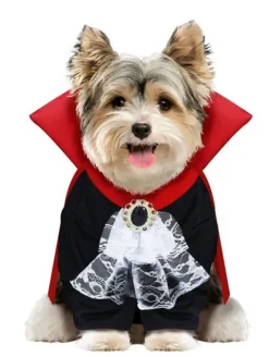 Przebranie dla psa - WAMPIR DRACULA