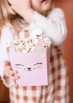 Pudełka na popcorn chipsy przekąski Kotki 3 szt.