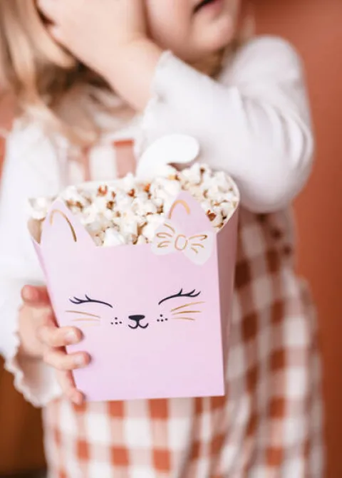 Pudełka na popcorn chipsy przekąski Kotki 3 szt.