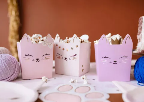 Pudełka na popcorn chipsy przekąski Kotki 3 szt.