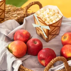 Pudełka na przekąski Popcorn Wiatrak Farma 6 szt.