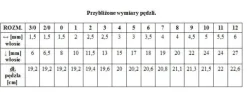 Renesans pędzel syntetyczny Okrągły 1006R rozm. 11