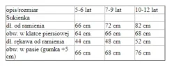 Strój Czarodziejka