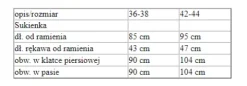 Strój dla dorosłych Pani Nietoperz