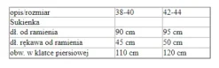Strój dla dorosłych Uwodzicielska Wiedźma Czarownica