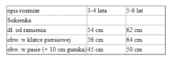 Strój dla dziewczynki WIEDŹMA Czarownica tutu w paski