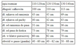 Strój Wiedźma Fioletowa