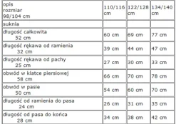 Strój dla dziewczynki Łabędź