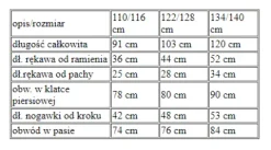 Strój MRÓWKA