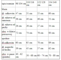 Strój POLICJANT