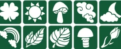 Szablony do tatuaży brokatowych ZESTAW 10 szt. mix Natura