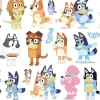 Tatuaże zmywalne wodne dla dzieci Bluey i Bingo